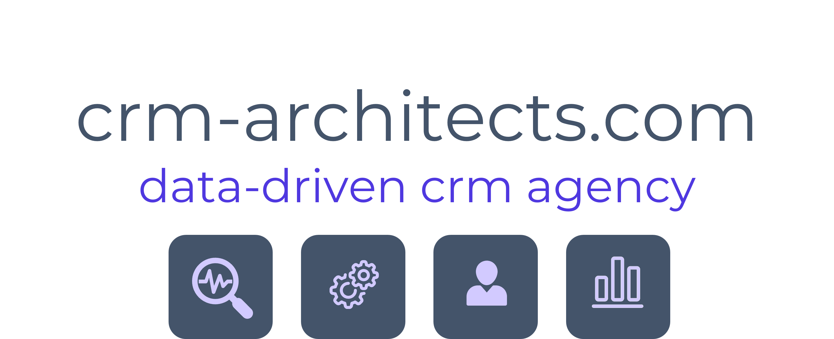 data-driven CRM agency
